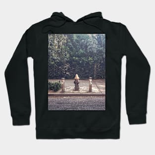 Friends in NYC Hoodie